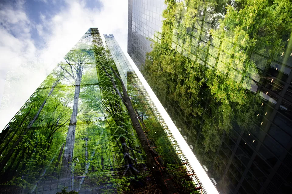 Green trees reflected in high-rise modern glass skyscrapers